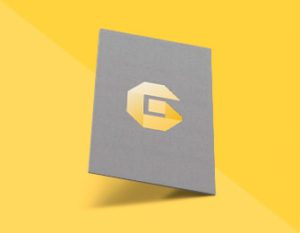 p3 300x233 - p3