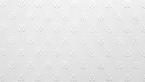 Muster 0036 RD 353 SALISBURY 300x171 - Anaglypta