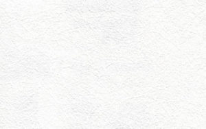 erfurt vliesfaser 735 300x188 - Erfurt
