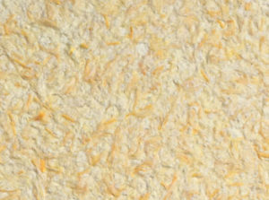 sp standard 013 300x223 - sp_standard_013