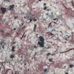 sp west 936 150x150 - Silk Plaster