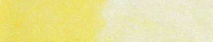 0011 Citrus 300x60 - _0011_citrus