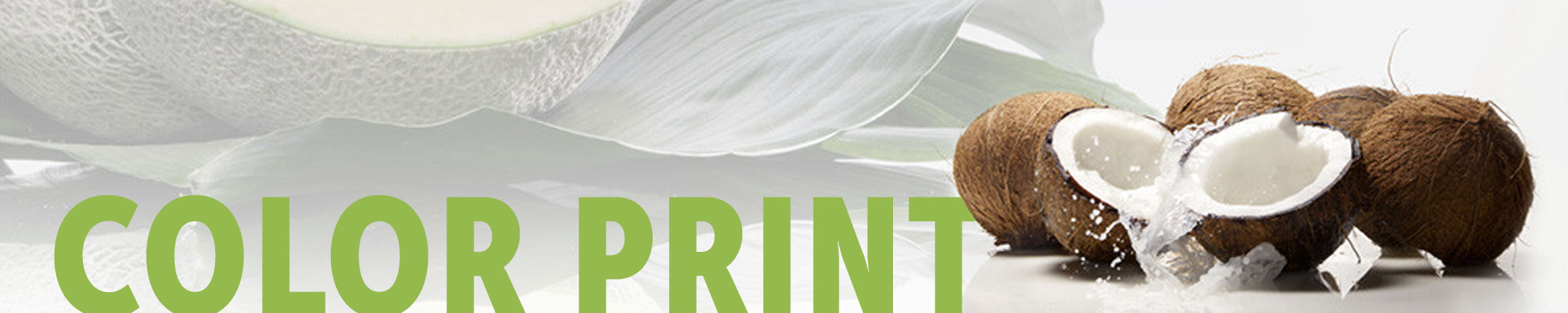 glassprinting header 1 - Color Print