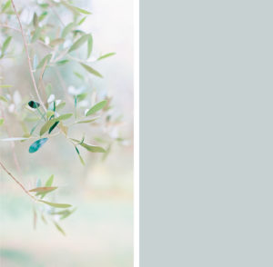 winwall olive greygreen 300x294 - Winwall