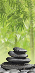 winwall wellness 143x300 - Winwall