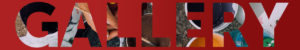 gallery banner 1 300x50 - gallery_banner