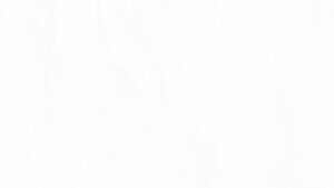 blanco 300x169 - blanco